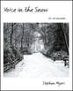 Voice in the Snow for solo marimba cover